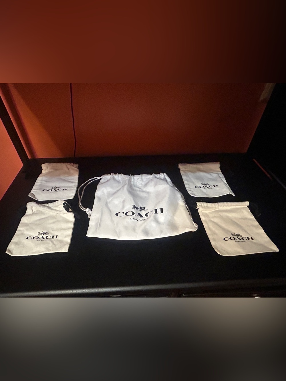 5 Piece Coach drawstring dust bags and jewelry pouches